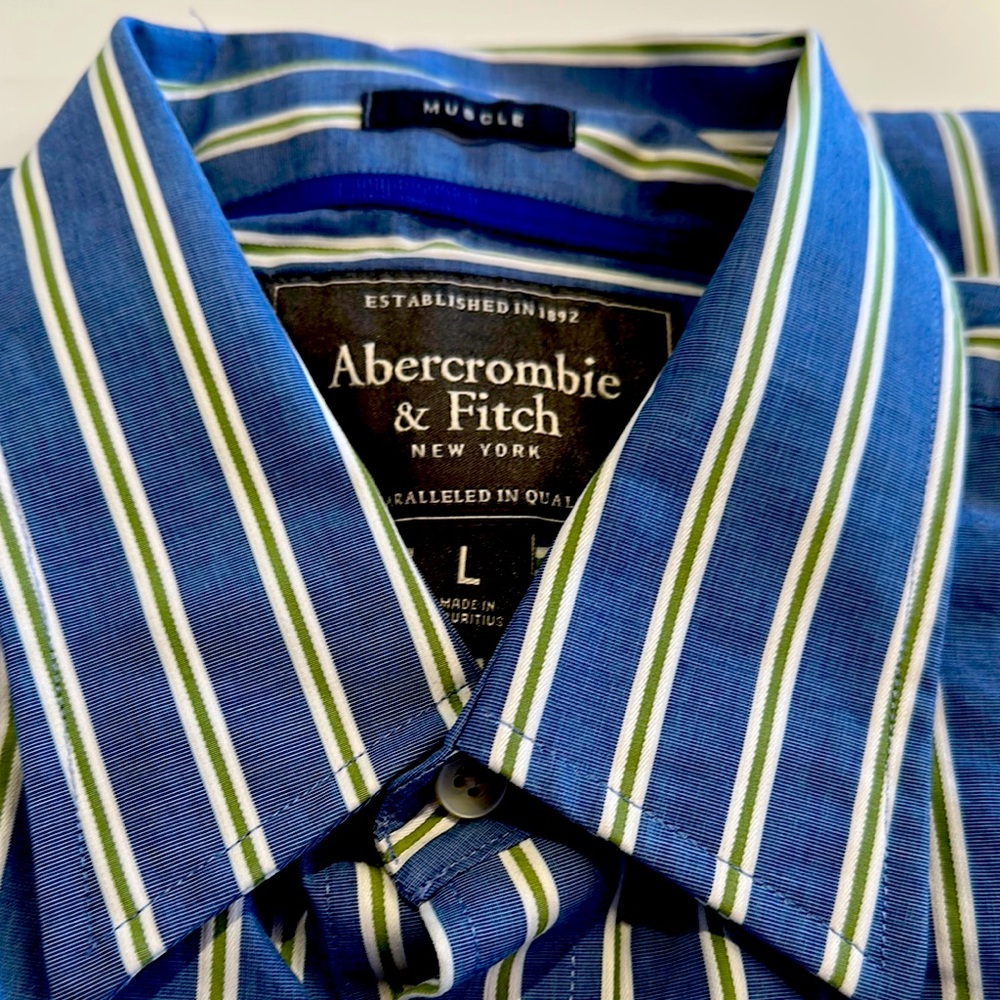 Abercrombie & Fitch Casual Button Down Shirt. New no tag. Runs large